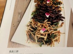 -山茶云南菜(永安里店)