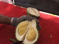 -都念榴莲·城市榴莲