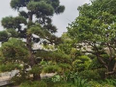 -朱家花园