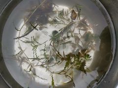 -碓臼峪自然风景区