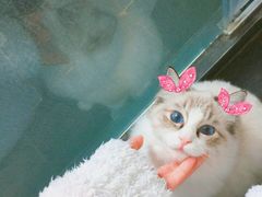 -上海市中医文献馆