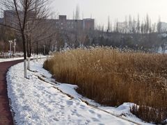 -成吉思汗公园