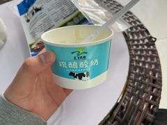 -正飞鲜奶(南湖一期店)