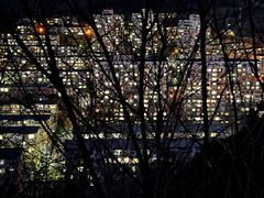 -红光山
