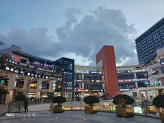 -浦江城市生活广场(江月路店)