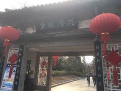 -西湖外事游船(花港观鱼码头)