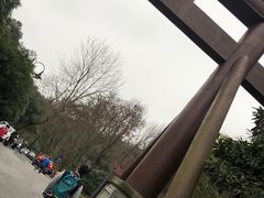 -龙井壹号·茶缘山景宴(龙井村店)