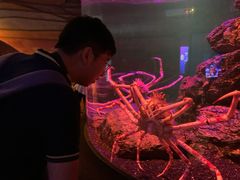 -暹罗海洋世界
