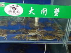 -阳澄湖大闸蟹·琼灵阁牌品牌连锁(吴中总店)