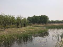 -东郊湿地公园