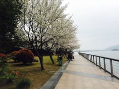 -蠡湖大桥公园
