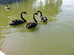 -长春世界雕塑园冰雪艺术天地