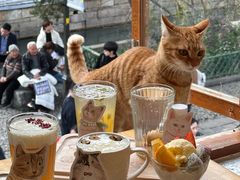 -猫的天空之城概念书店(苏州平江店)