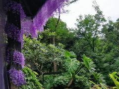 -融汇温泉