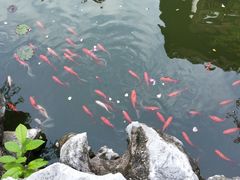 -苏州文旅花间堂·探花府酒店
