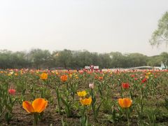 -北陵公园