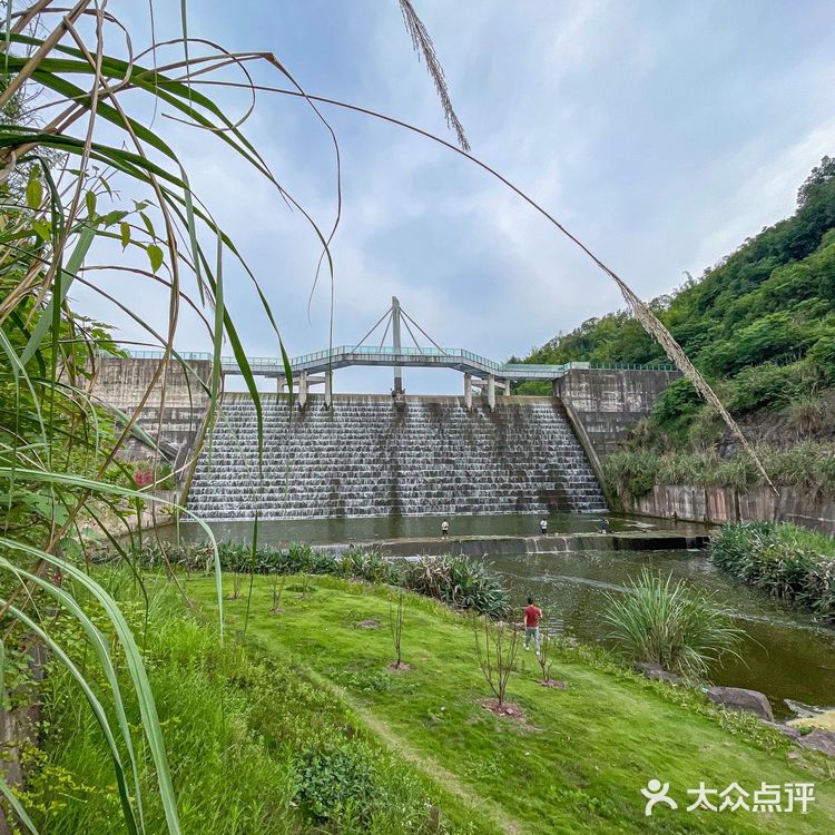 重庆人的浪漫那一定是去🈶风的地方
