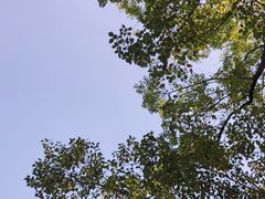 -广西壮族自治区药用植物园