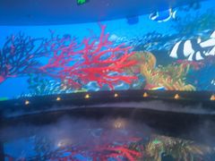 -唐宫足道·SPA·住宿24H会所(木渎店)