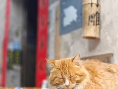 -黟县屏山村