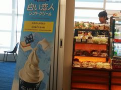 -TIAT DUTY FREE SHOP NORTH(羽田机场店)