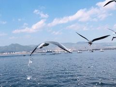 -海埂大坝