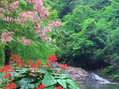 -马峦山郊野公园
