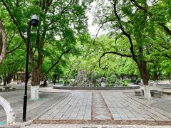 -山东大学(趵突泉校区)