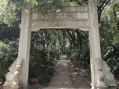 -苏州上方山国家森林公园