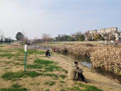 -两河城市森林公园