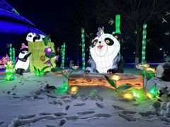-沈阳奥体冰雪嘉年华
