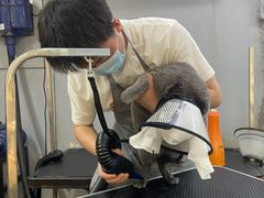 -PETKIT小佩宠物(古北店)