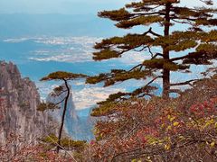 -黄山风景区