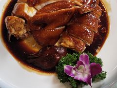 六婶精制豉油鸡-六婶西关小厨(光塔路店)