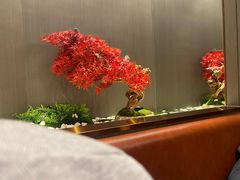 -蝎王府羊蝎子(西直门店)