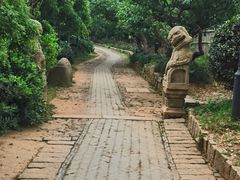 -雨花胜境