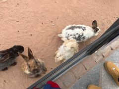 -鄂尔多斯野生动物园