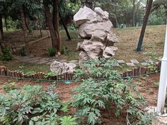 -西苑公园