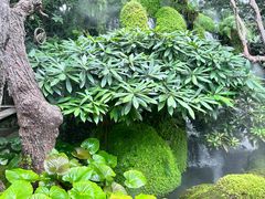 -Chom Cafe and Restaurant