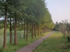 -柳鹭田园区