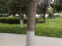 -东北大学(南湖校区)
