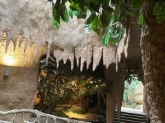 -南山植物园