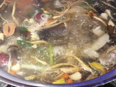 -千岛蚝高压锅生蚝·人参火锅(白云万达店)