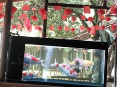 -鲤鱼塘农家山庄