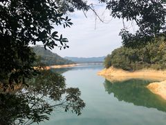 -广州市流溪河国家森林公园