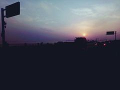 -合肥滨湖国家森林公园