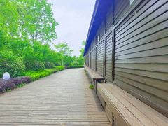 -上海海湾国家森林公园