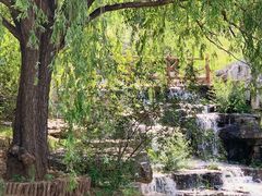 -北京西山国家森林公园