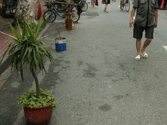 -樱花糕坊(海寿街店)