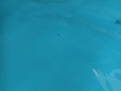 -温都水城·水梦奇缘